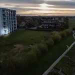 Moewennest